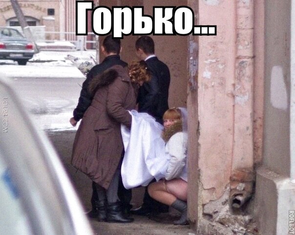 Позитив в картинках на начало недели Юмор