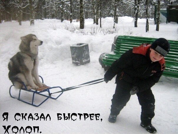 Позитив в картинках на начало недели Юмор