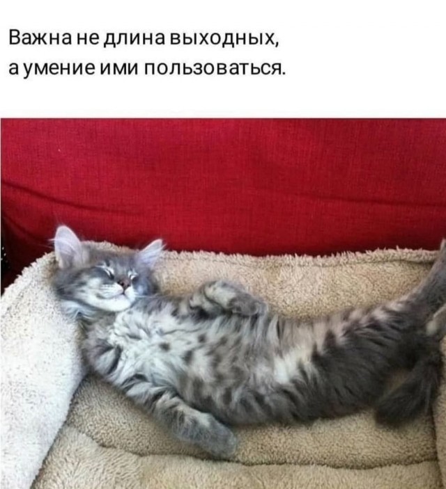 Позитив в картинках на начало недели Юмор