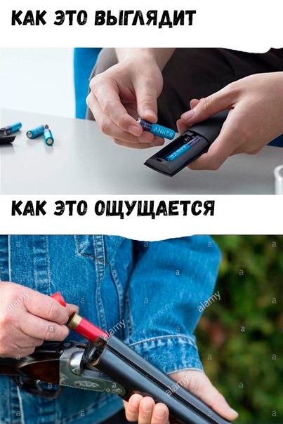 Позитив в картинках на начало недели Юмор