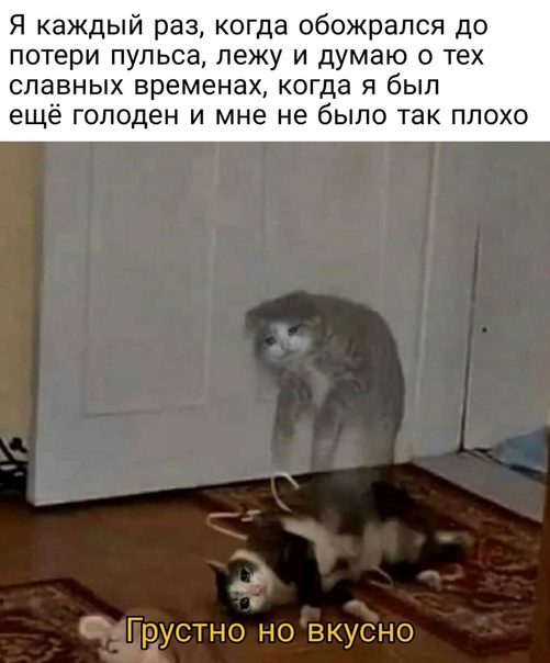 Позитив в картинках на начало недели Юмор