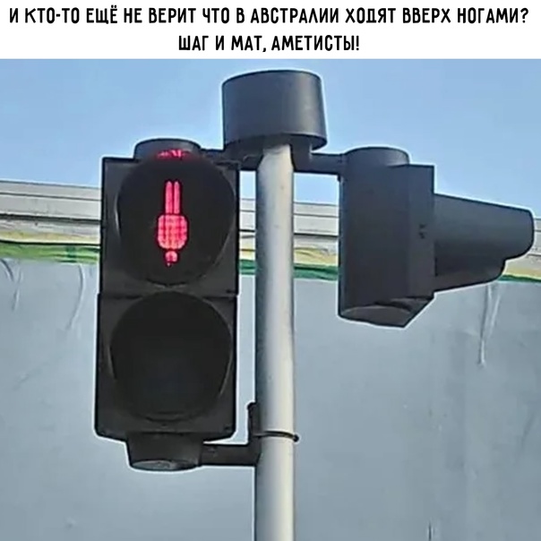 Позитив в картинках на начало недели Юмор