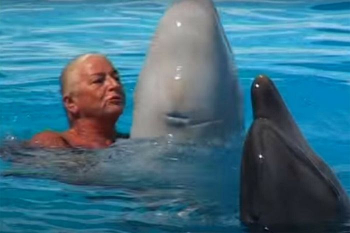 Как бывшая узница концлагеря дрессировала в СССР боевых дельфинов С миру по нитке