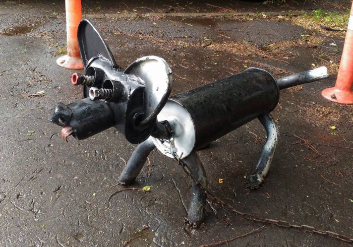 Весёлые и позитивные фото приколы Картинки