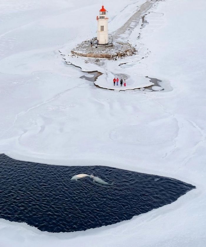 Весёлые и позитивные фото приколы Картинки