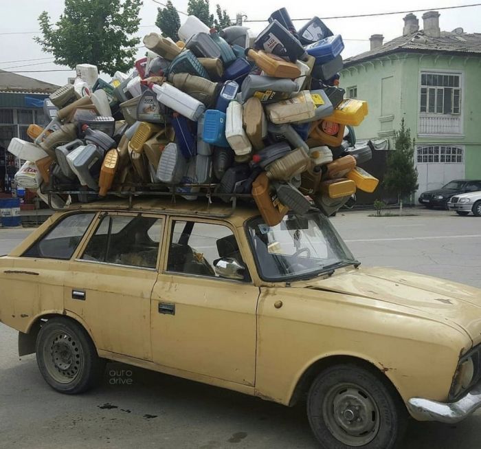 Весёлые и позитивные фото приколы Картинки