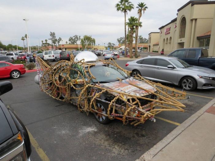 Весёлые и позитивные фото приколы Картинки