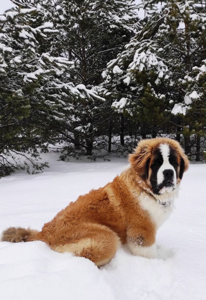 Весёлые и позитивные фото приколы Картинки