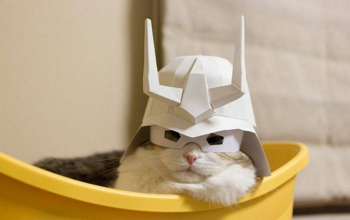 Весёлые и позитивные фото приколы Картинки