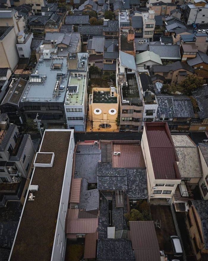 Весёлые и позитивные фото приколы Картинки