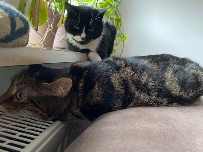 Весёлые и позитивные фото приколы Картинки