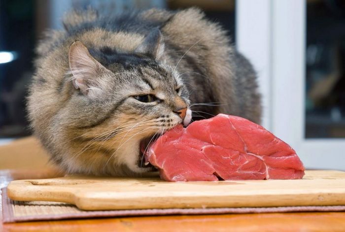 Весёлые и позитивные фото приколы Картинки