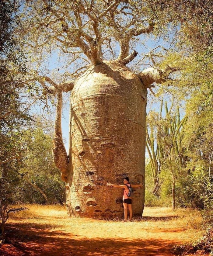 Весёлые и позитивные фото приколы Картинки