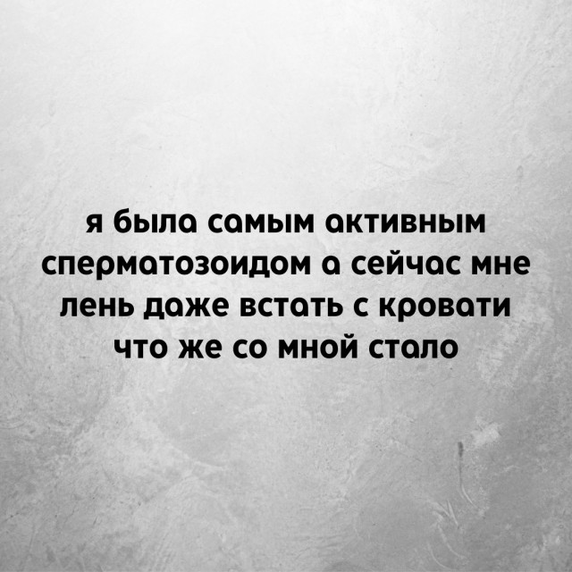 Пришла пора зарядиться хорошим настроением Пришла пора зарядиться хорошим настроением Юмор