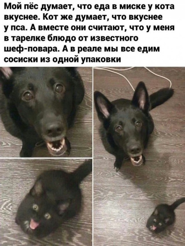 Пришла пора зарядиться хорошим настроением Пришла пора зарядиться хорошим настроением Юмор