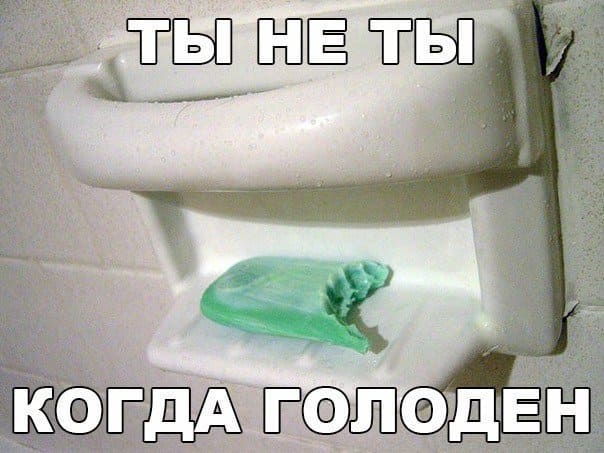 Отборный юмор для вас Юмор