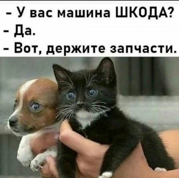 Отборный юмор для вас Юмор