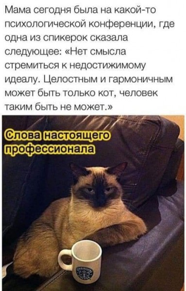 Отборный юмор для вас Юмор