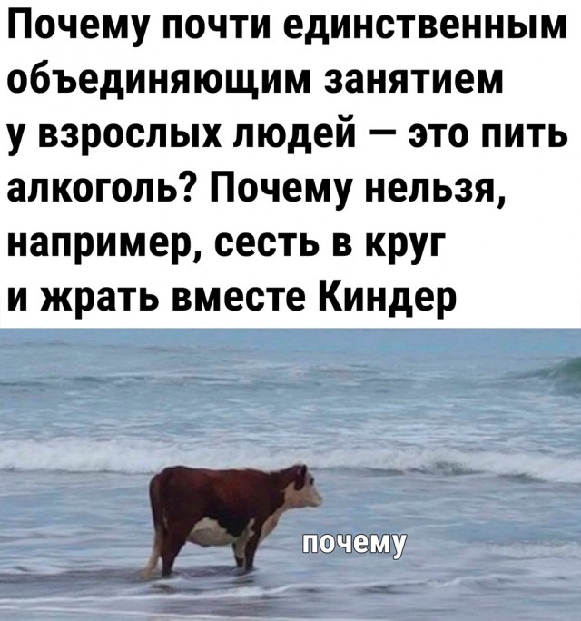 Майский юмор Юмор