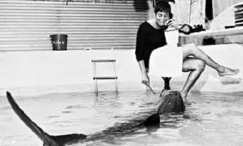Дельфин насилует пловчиху смотреть онлайн / Природа | intim-top.ru | Красвью
