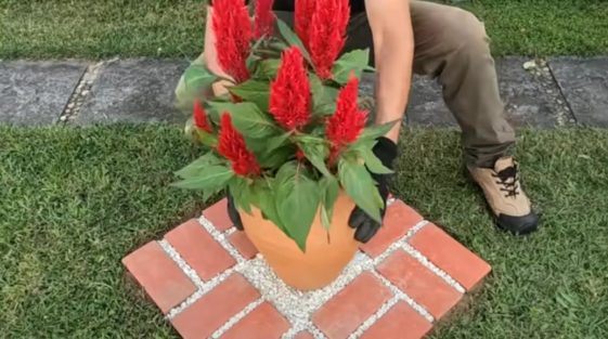 Как сделать декоративную клумбу из кирпича Как это сделано