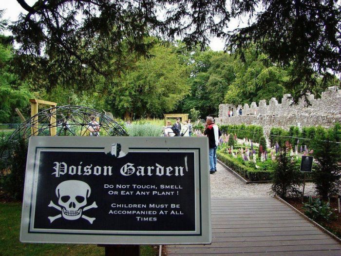 Самый опасный сад С миру по нитке