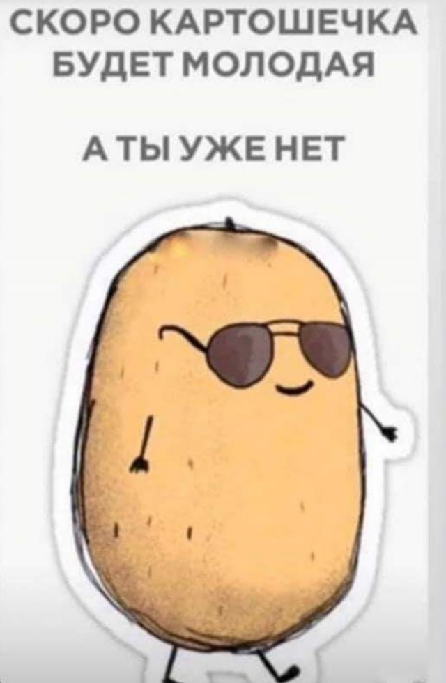 Самые смешные картинки из социальных сетей  Юмор