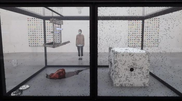 В Германии из музея удалили экспонат, нарушающий права мух С миру по нитке