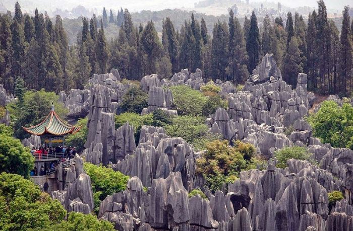 Загадочный лес Шилинь в Китае С миру по нитке