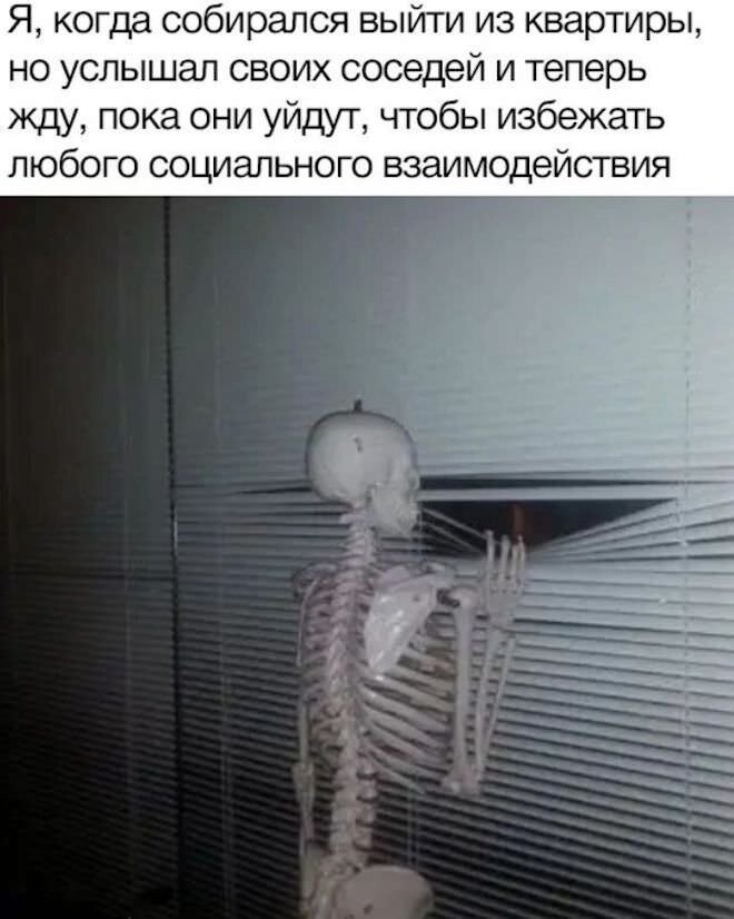 Сборник свежих смешных картинок на выходные Сборник свежих смешных картинок на выходные Юмор