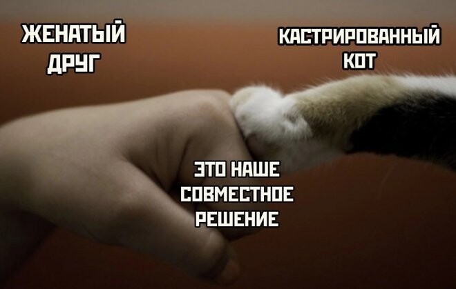 Сборник свежих смешных картинок на выходные Сборник свежих смешных картинок на выходные Юмор