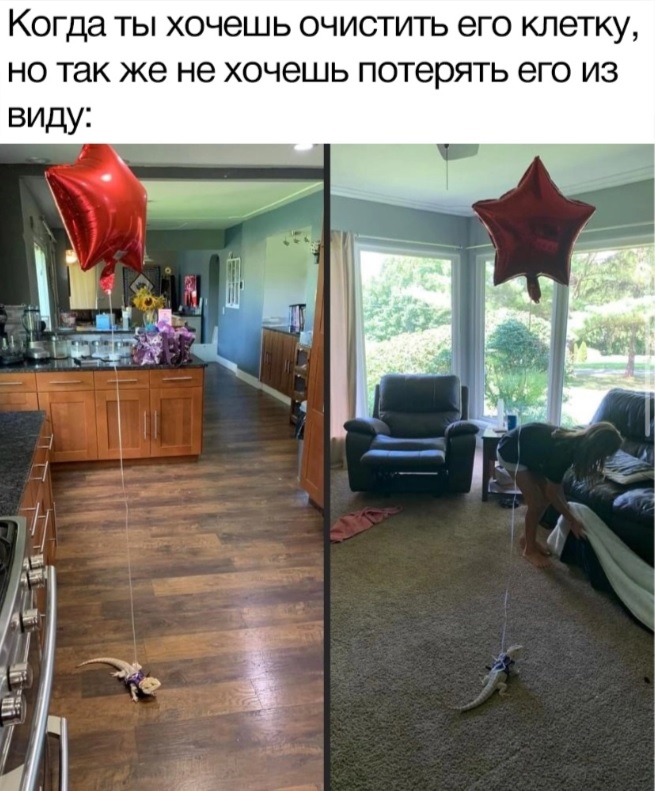 Прикольные фото мемы Юмор