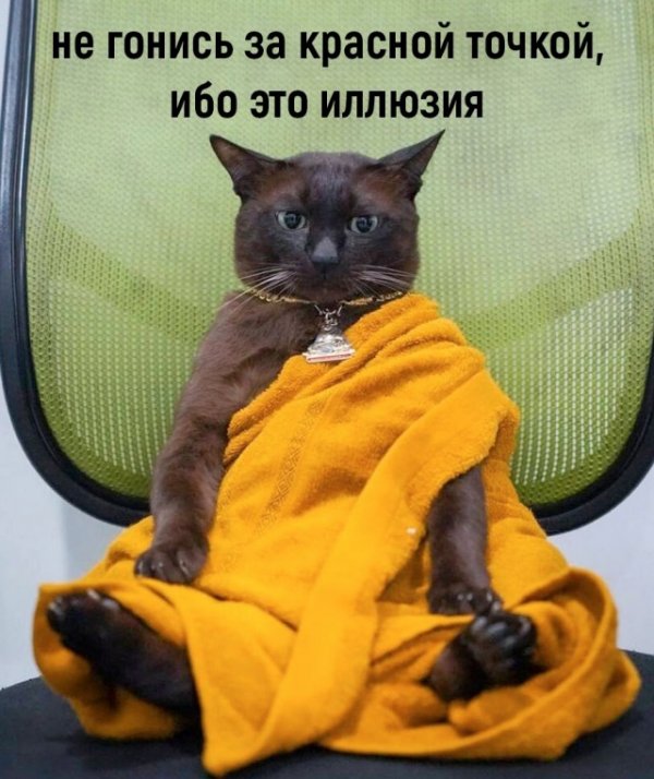 Прикольные фото мемы Юмор