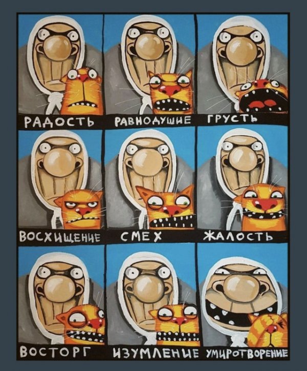 Прикольные фото мемы Юмор