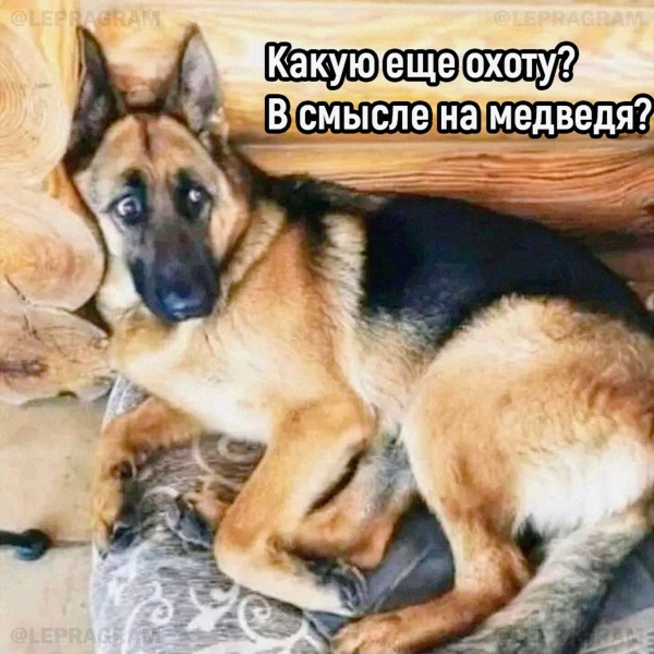 Прикольные фото мемы Юмор