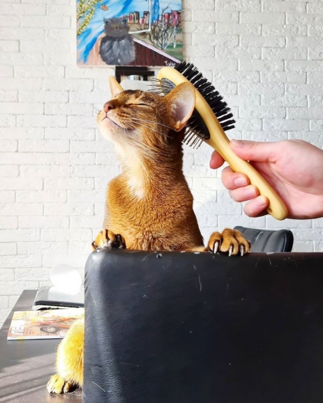 Прикольные фото мемы Юмор