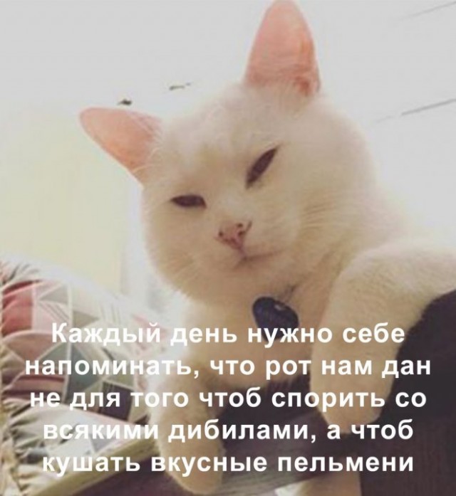 Прикольные фото мемы Юмор