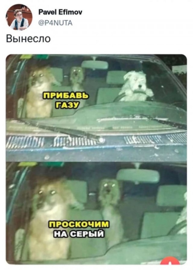 Прикольные фото мемы Юмор