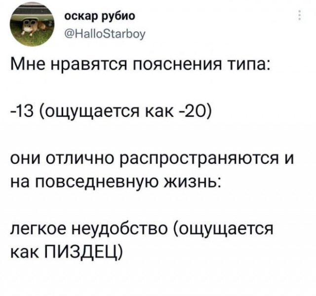 Прикольные фото мемы Юмор