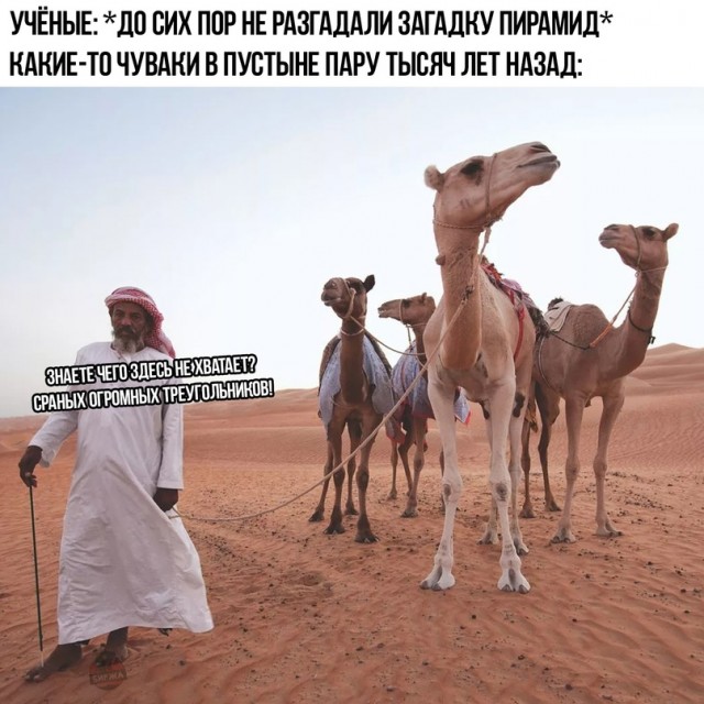 Приколы, юмор и смешные картинки Приколы, юмор и смешные картинки Юмор