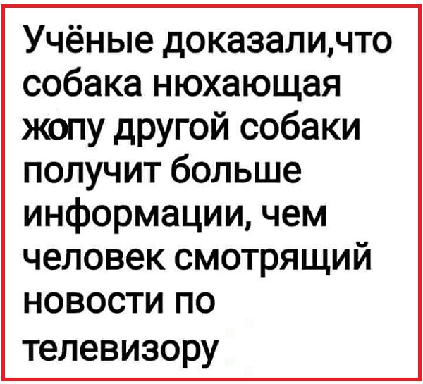 Приколы, юмор и смешные картинки Приколы, юмор и смешные картинки Юмор