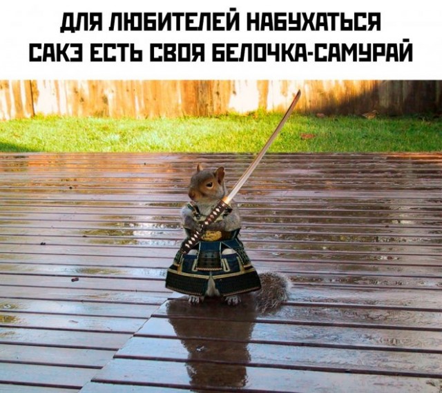 Приколы, юмор и смешные картинки Приколы, юмор и смешные картинки Юмор
