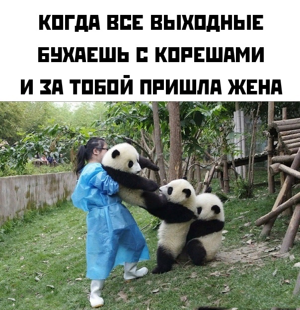 Приколы, юмор и смешные картинки Приколы, юмор и смешные картинки Юмор