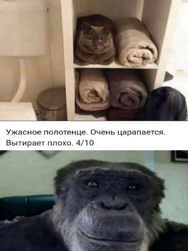 Приколы, юмор и смешные картинки Приколы, юмор и смешные картинки Юмор