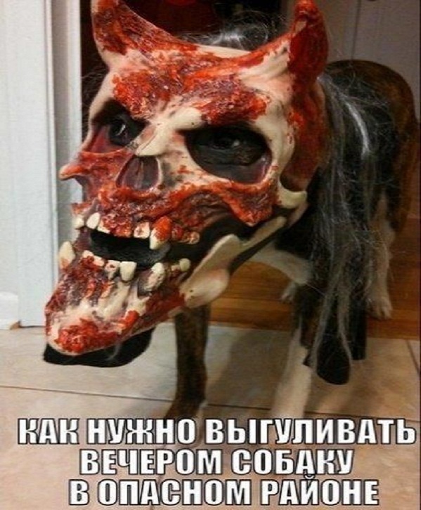 Приколы, юмор и смешные картинки Приколы, юмор и смешные картинки Юмор