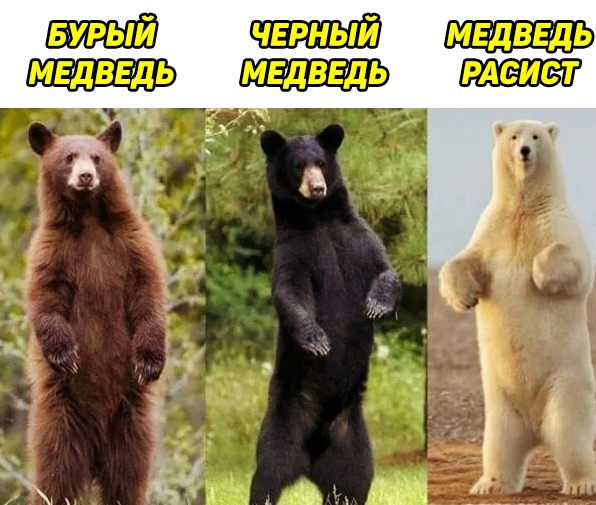 Приколы, юмор и смешные картинки Приколы, юмор и смешные картинки Юмор