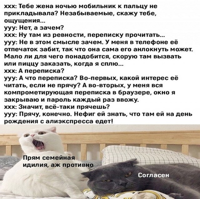 Самые смешные мемы за 2022