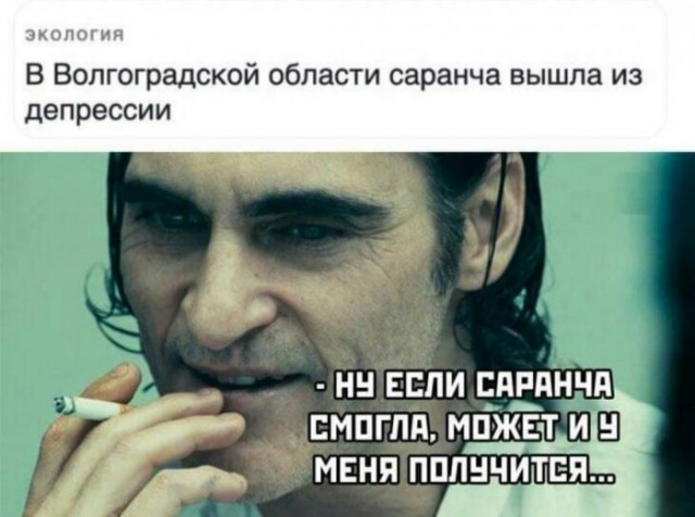 Смешные до слёз картинки Юмор