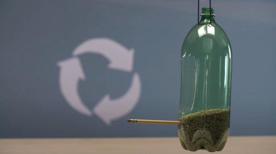 Как сделать кормушку из бутылки 5 литров (+фото)