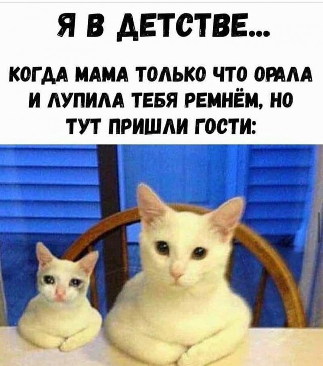 Самые свежие Фото приколы смешные до слез Юмор